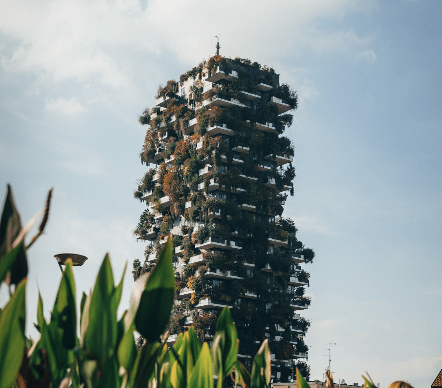 Ein Hochhaus bepflanzt mit vielen grünen Bäumen