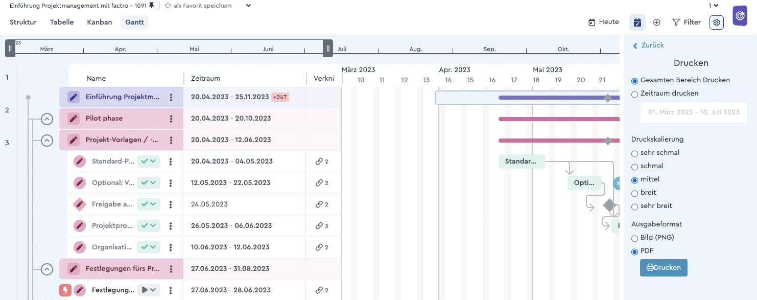 Ein Screenshot der Anleitung zum Drucken des Gantt Diagramms