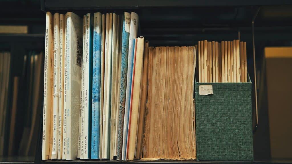Digitale Transformation in der Öffentlichen Verwaltung Bücher